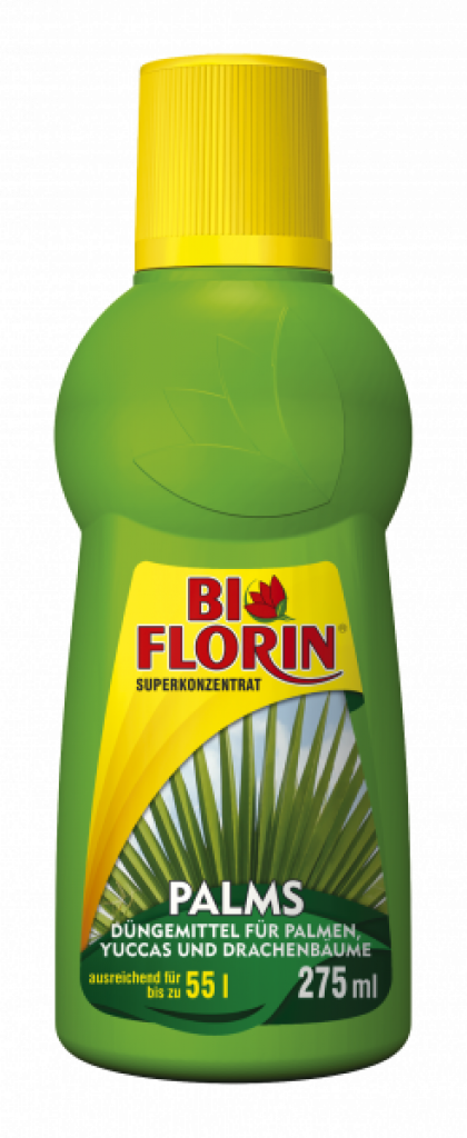 Bi Florin PALMS